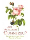 Unde salasluieste Dumnezeu - Povestiri pentru copii parinti si bunici