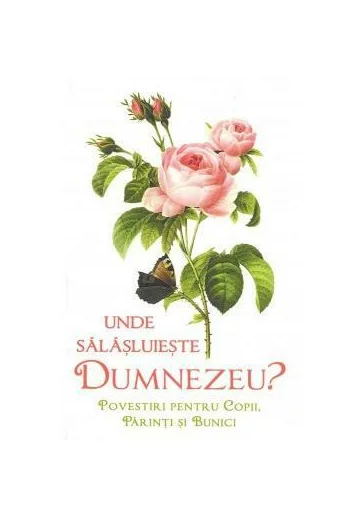 Unde salasluieste Dumnezeu - Povestiri pentru copii parinti si bunici