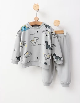 Compleu cu Dinozauri, Wild Paw, cu gri