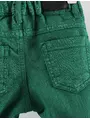 Pantaloni de blug Lilitop ERKEK verde 3