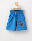 Pantaloni scurti Summer baietei albastru picture - 1