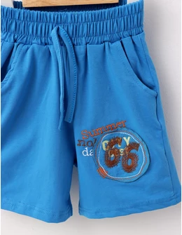 Pantaloni scurti Summer baietei albastru