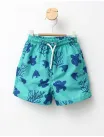 Sort de baie din fas model sea turtle verde picture - 1