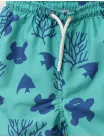 Sort de baie din fas model sea turtle verde picture - 2