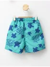 Sort de baie din fas model sea turtle verde picture - 3