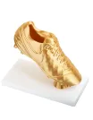 Trofeu GHEATA DE AUR, Fotbal picture - 1