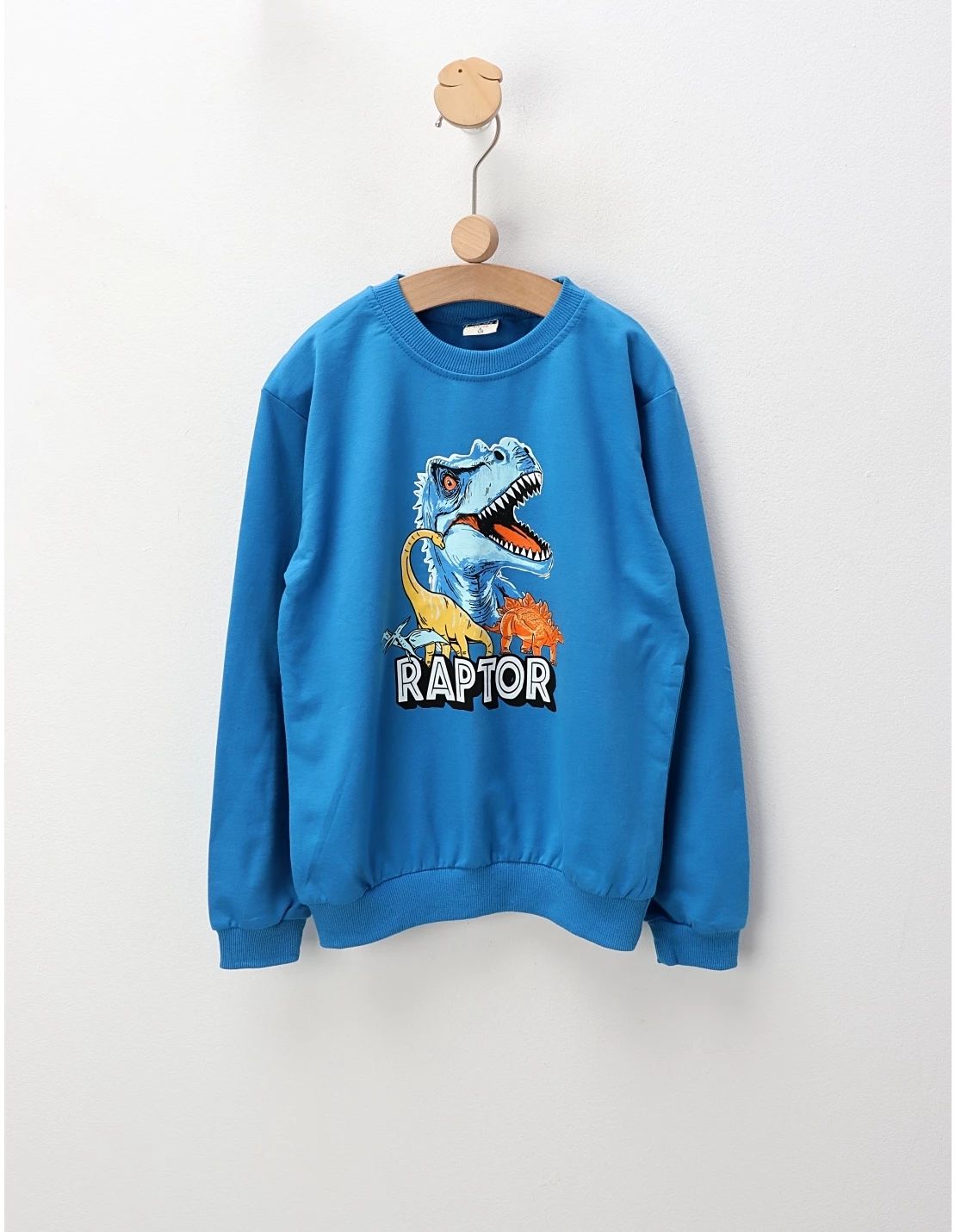 Bluza RAPTOR, albastru