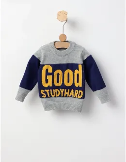 Pulover GOOD STUDYHARD gri-albastru