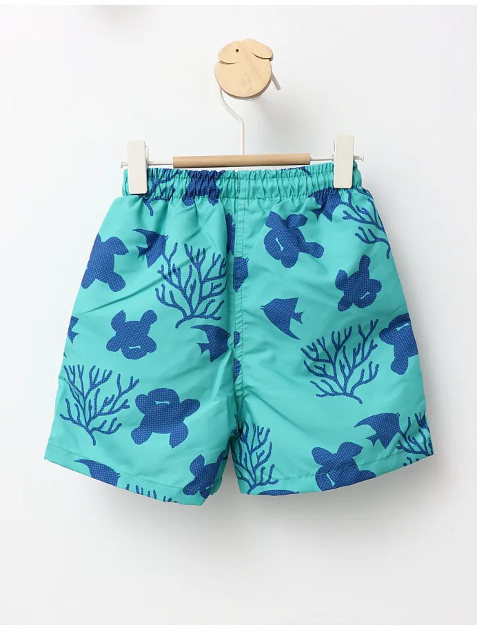 Sort de baie din fas model sea turtle verde picture - 3