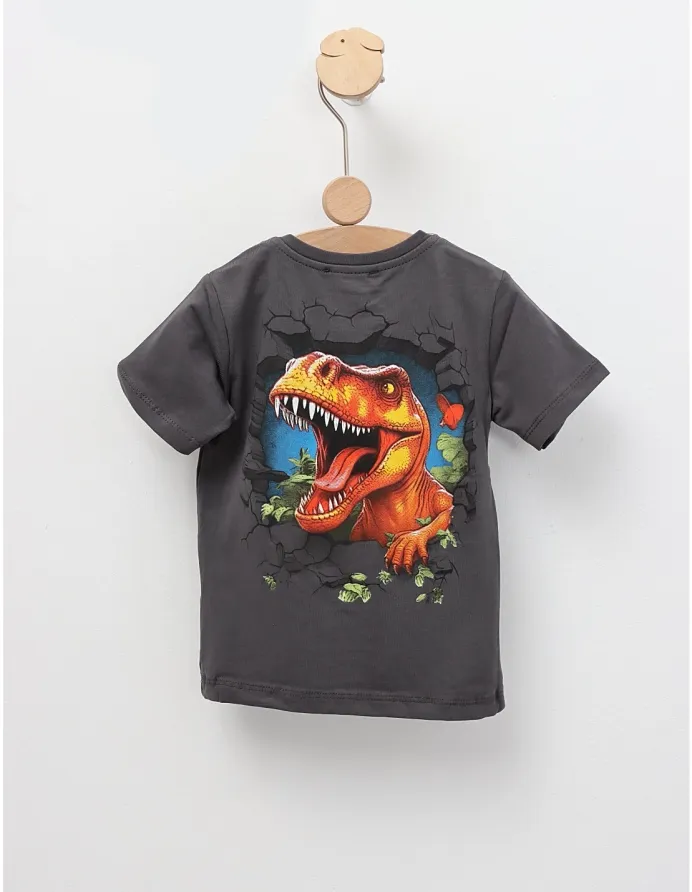Tricou Tiranozaur REX, model gri-inchis picture - 3