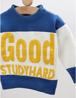 Pulover GOOD STUDYHARD alb-albastru