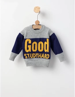 Pulover GOOD STUDYHARD gri-albastru