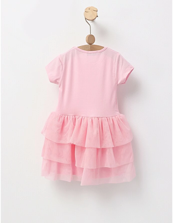 Rochita Mira, model roz picture - 3