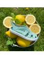 Sandale Boatilus BIOTY baby verde picture - 5