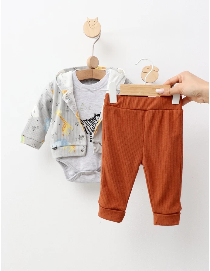 Set 3 piese, Zebra, model cu gri picture - 3