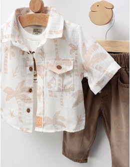 Set premium Summer palmier crem