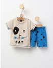 Set vara, TomCat, model crem-albastru picture - 1