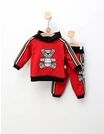 Trening Web Bear, model cu rosu picture - 1