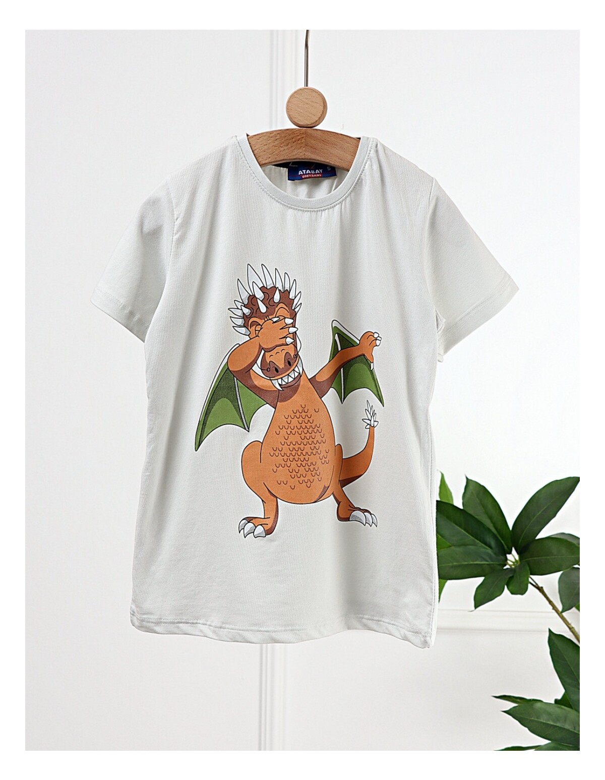 Tricou Charizard Dragon, gri