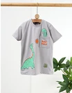 Tricou Dino World, model gri picture - 3