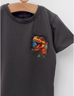 Tricou Tiranozaur REX, model gri-inchis