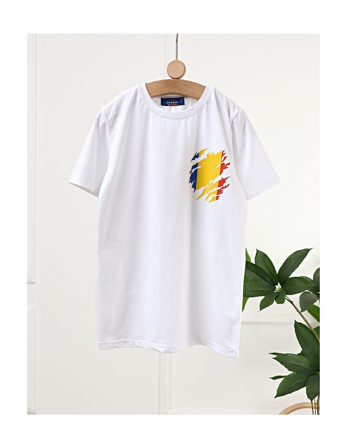 Tricou Tricolor Romania, alb