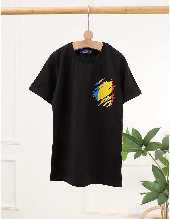 Tricou Tricolor Romania, negru picture - 5