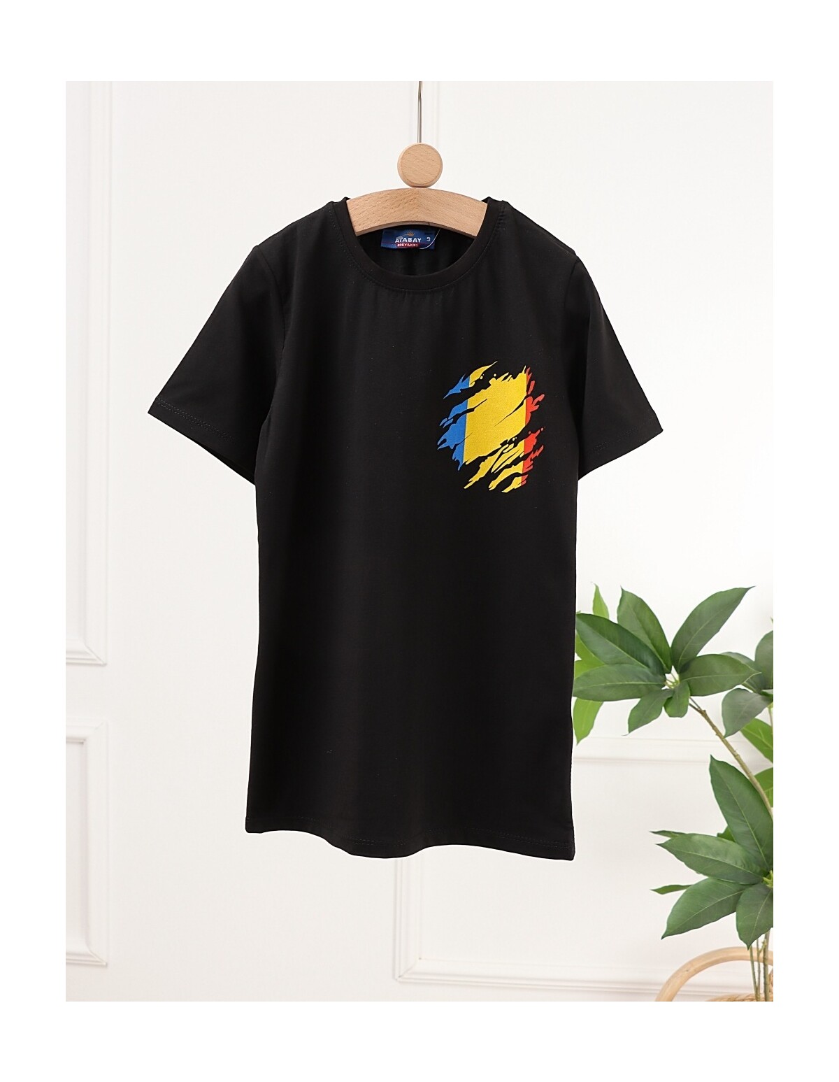 Tricou Tricolor Romania, negru