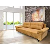Canapea extensibilă Vivo,  culoare personalizabila - 245x100 cm, design modern cu tetiere opționale și ladă de depozitare, structură din fag masiv picture - 3