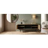 Comoda Deco RTV 150 - 51,5 / 150 / 38 cm picture - 2