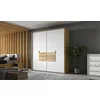 Dulap Panama cu uși glisante, feronerie Hettich și carcasă din PAL melaminat, 208x65x217 cm, stejar picture - 3
