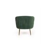 Fotoliu Crown 72x78x80 cm Verde picture - 4