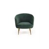 Fotoliu Crown 72x78x80 cm Verde picture - 2
