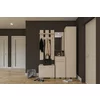 Hol Nika Satin 120, mobilier hol cu spații multiple de depozitare, placă cuier inclusă, PAL melaminat, 120x220x45 cm, Satin picture - 1