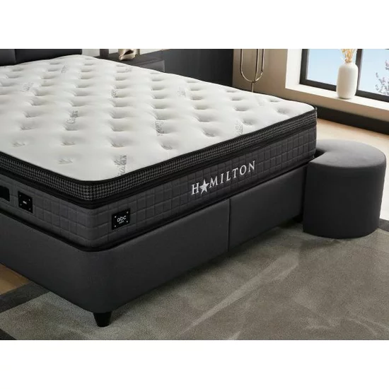 Pat Hamilton, design modern, tapițat cu stofă premium, ladă depozitare, somieră inclusă, 160x200 cm picture - 3