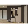 Hol Nika Satin 120, mobilier hol cu spații multiple de depozitare, placă cuier inclusă, PAL melaminat, 120x220x45 cm, Satin picture - 1