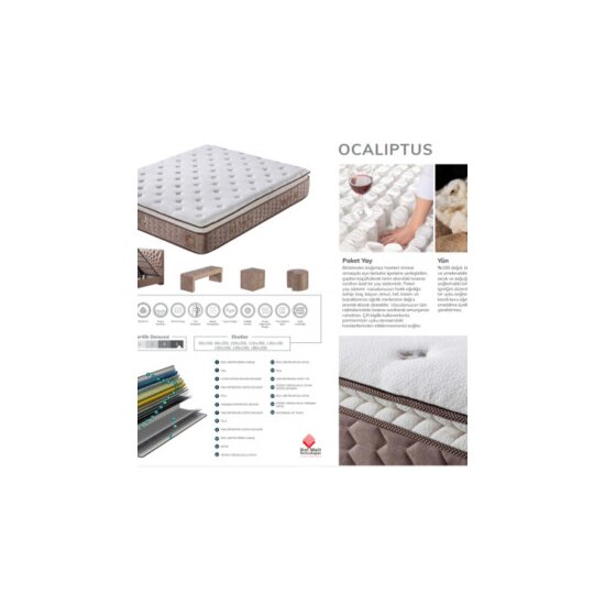 Saltea Ocaliptus Beige 180X200 picture - 6