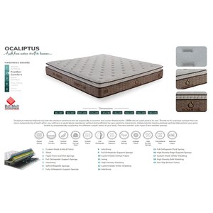 Saltea Ocaliptus Beige 90/200 cm picture - 4