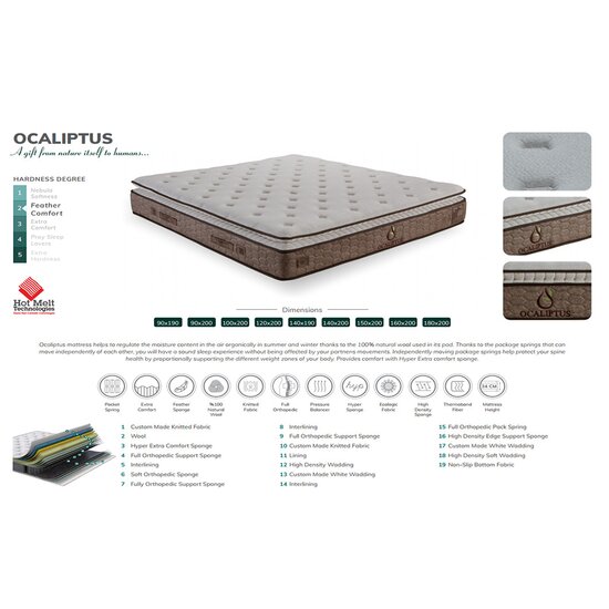 Saltea Ocaliptus Beige 90/200 cm picture - 4