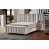 Pat + Saltea gratis Moonlight, bej - 160x200 cm, cu LED, port USB și lada depozitare picture - 1