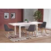 Masă Tiago 2 extensibilă, MDF laminat + margini ABS, 140-220x80x76 cm, alb picture - 1