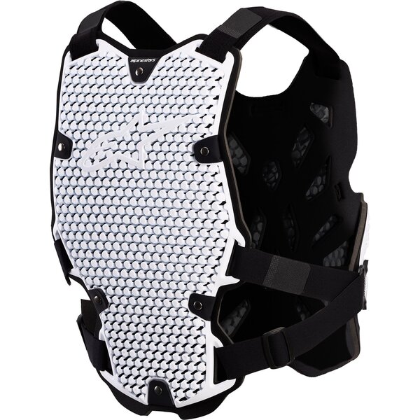 Armura piept si spate ALPINESTARS BIONIC ACTION V2 picture - 2
