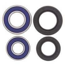 Kit rulmenti si garnituri roata All Balls Racing  WB25-1042