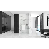 Paravan de dus tip Walk-in Rea Aero N 120x195 cm si etajera cu suport crom picture - 8