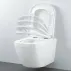 Set rezervor Grohe Rapid SL cu clapeta Skate Cosmopolitan si vas wc Grohe Euro Ceramic Triple Vortex capac soft close picture - 4