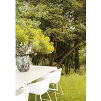 Scaun de gradina Soho Burrano alb picture - 2
