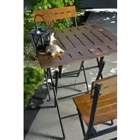 Set de gradina 3 piese Asir Bistro negru/maro picture - 2