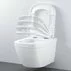 Set vas wc suspendat cu capac softclose si bideu Grohe Euro Ceramic Rimless Triple Vortex - 4