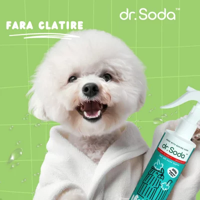 Balsam pentru descurcarea blanii fara clatire, 250ml, Dr.Soda