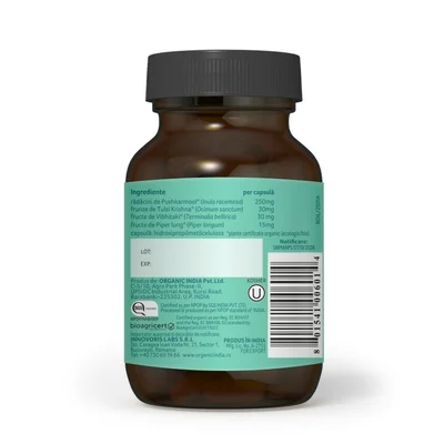 Breathe Free - Respiratie usoara, 60 cps veg, bio, Organic India